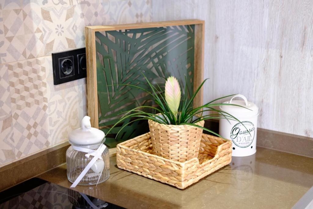 Apartamento Vintage En El Centro De Málaga Extérieur photo